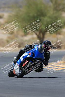 media/May-14-2023-SoCal Trackdays (Sun) [[024eb53b40]]/Turn 5 Tree of Life (1125am)/